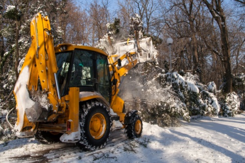 JCB clearing snow from tree line